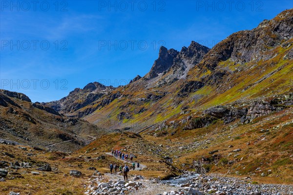 Group of hikers