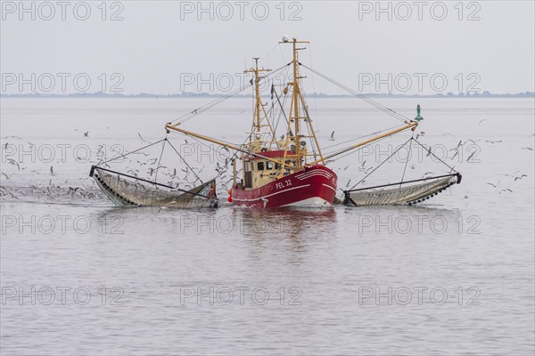 Crab cutter in the Wadden Sea