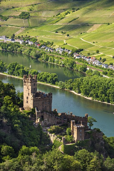 Sooneck Castle on the Rhine