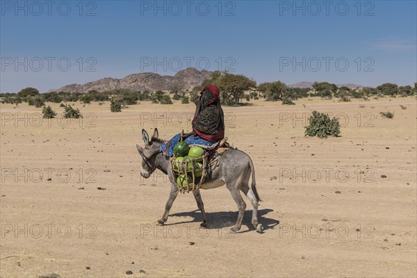 Woman on her donkey
