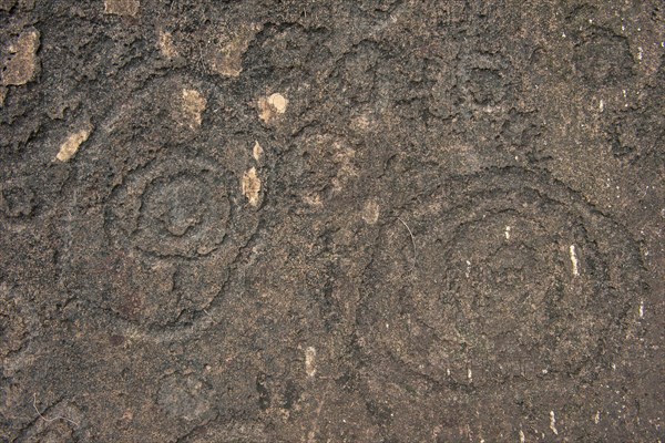 Prehistoric rock carvings in the Unesco world heritage sight Lope national park