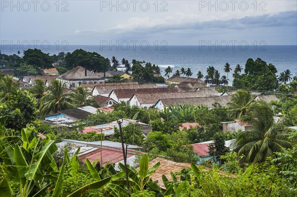 Overlook over the Cocoa plantation Roca Aguaize
