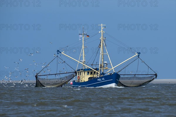 Crab cutter in the Wadden Sea