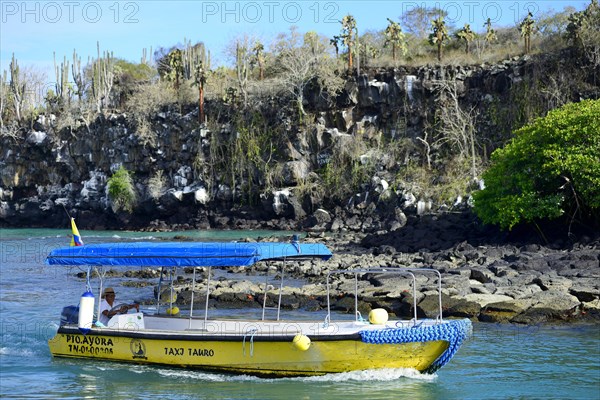 Empty excursion boat coming into port