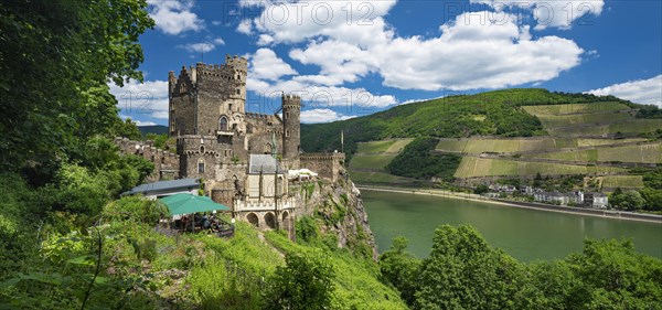 Rheinstein Castle on the Rhine