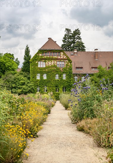 Path between flower beds with blooming summer flower-bed