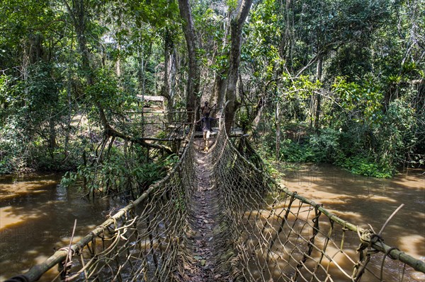 Hand made vine bridge in the Unesco world heritage sight Dzanga-Sangha Park Central African Republic