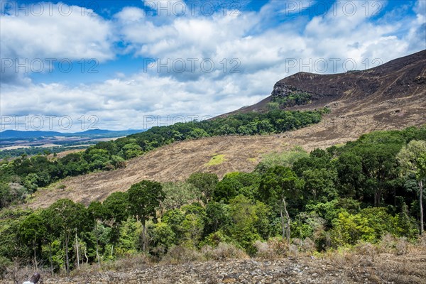 Padges of rainforest in the savannah of the Unesco world heritage sight Lope national park