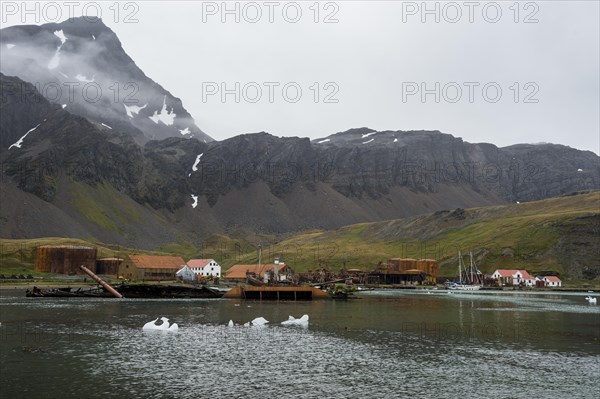 Former whaling station Grytviken