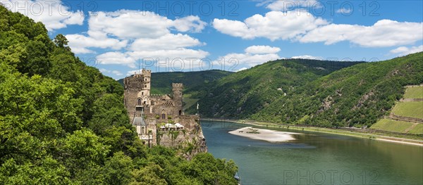 Rheinstein Castle on the Rhine