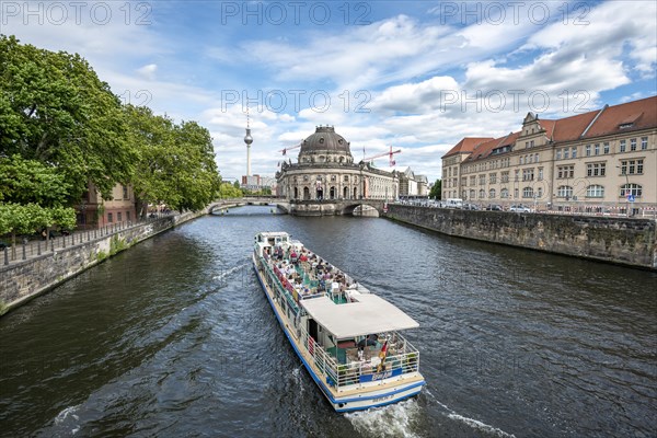 Bode Museum and television tower