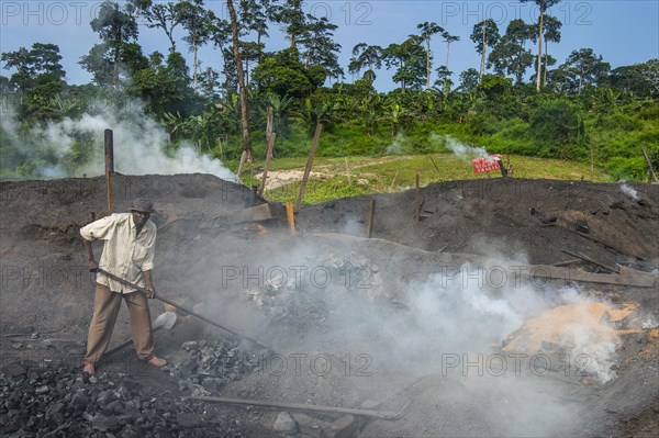 Coal production out of wood