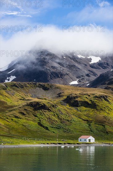 Former whaling station Grytviken