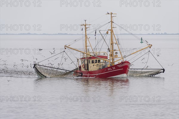 Crab cutter in the Wadden Sea