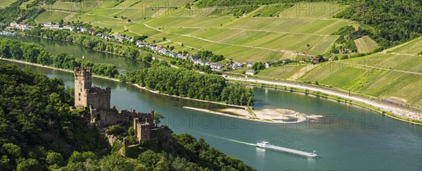 Sooneck Castle on the Rhine