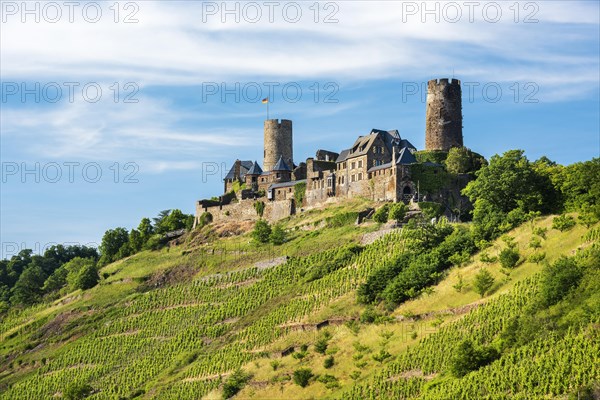 Thurant Castle above vineyards in the Moselle Valley