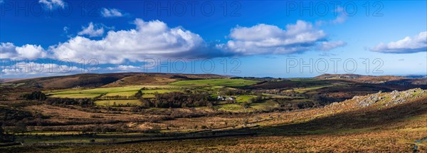 Fields and meadows in Haytor Rocks