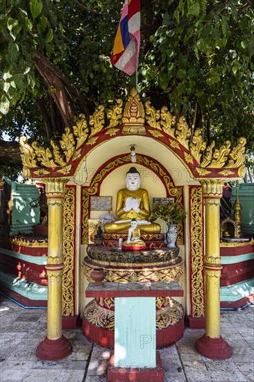 Buddha statues around a huge tree