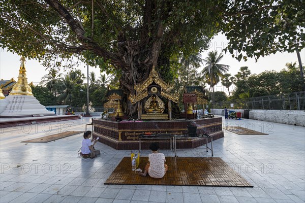Pilgrims praying in the Shwedagon pagoda