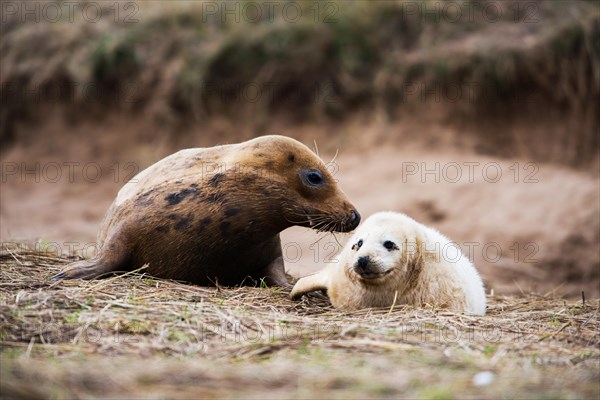 Mother with baby