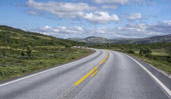 Road through tundra