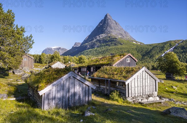 Traditional houses