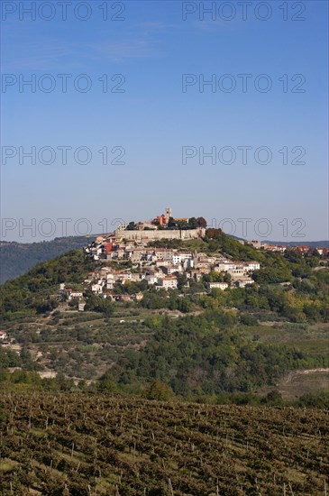 Motovun