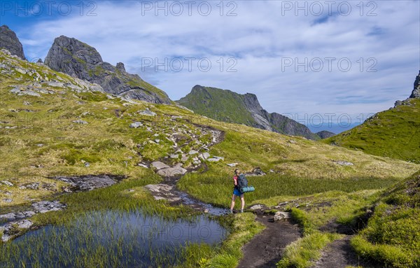 Hiker on hiking trail