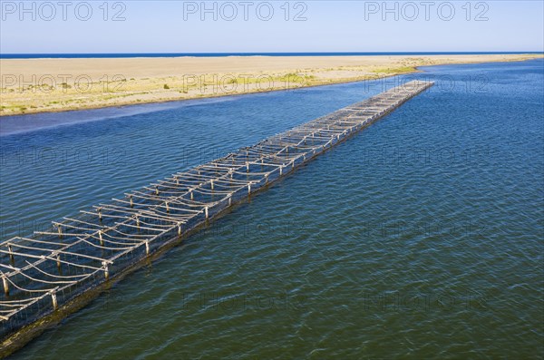 Mussel and oyster farming in the Bahia del Fangar