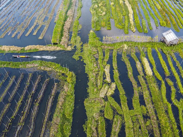 Aerial of the floating gardens