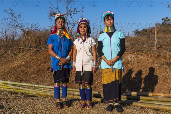 Laughing three Padaung women