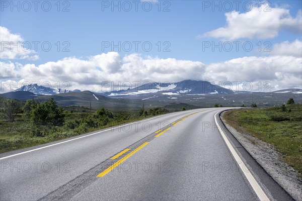 Road through tundra