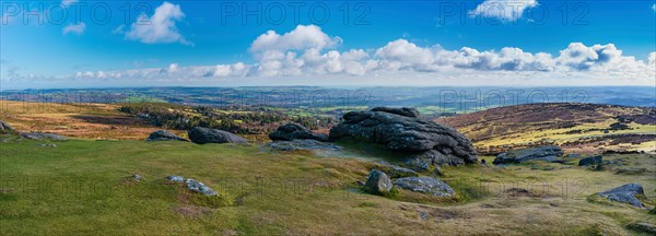 Fields and meadows in Haytor Rocks