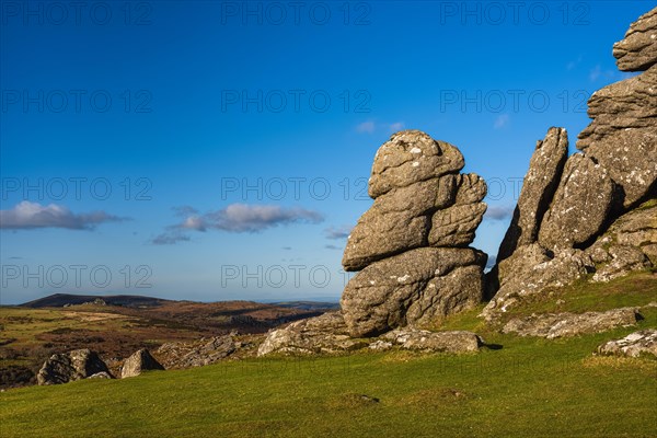 Fields and meadows in Haytor Rocks