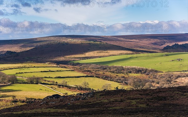 Fields and meadows in Haytor Rocks