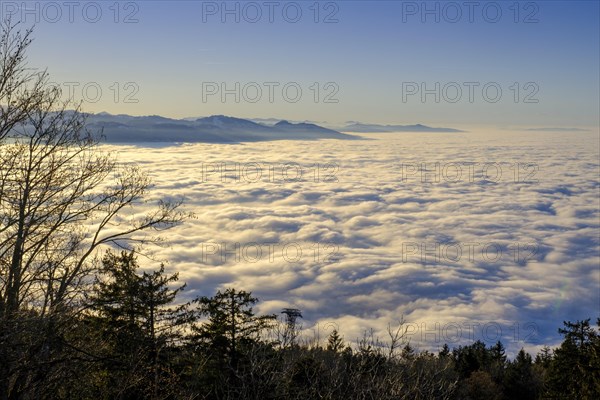 Sunset over high fog