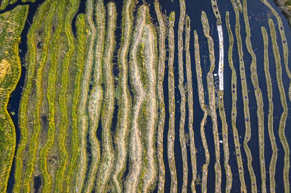 Aerial of the swimming gardens