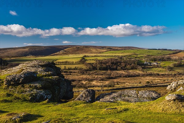 Fields and meadows in Haytor Rocks