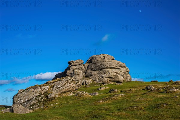 Fields and meadows in Haytor Rocks