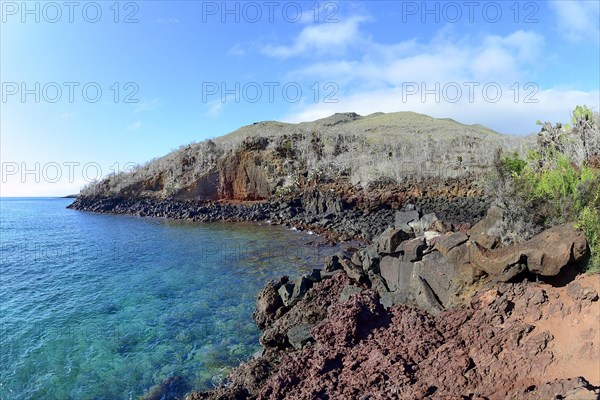 Red volcanic coast