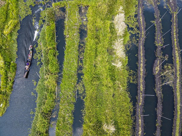 Aerial of the floating gardens