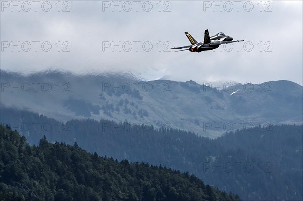 Swiss Air Force
