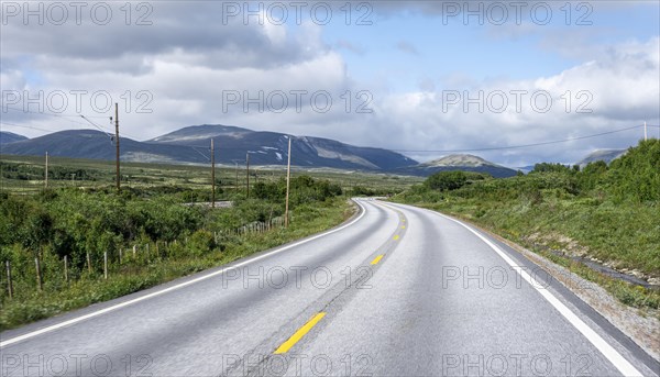 Road through tundra