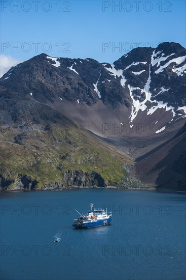 Cruise ship anchoring in the bay of Gothul