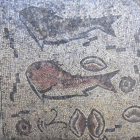 Mosaics with Fish figures