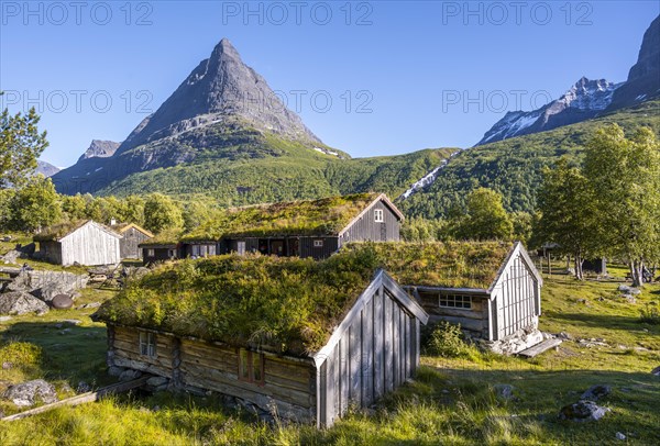 Traditional houses