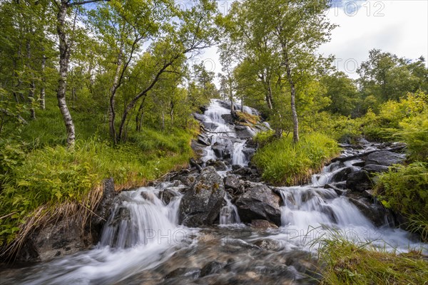 Waterfall in the forest