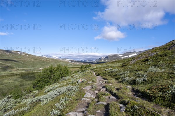 Hiking trail in the mountains with Bergen