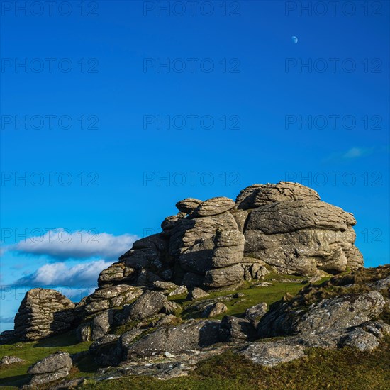 Fields and meadows in Haytor Rocks