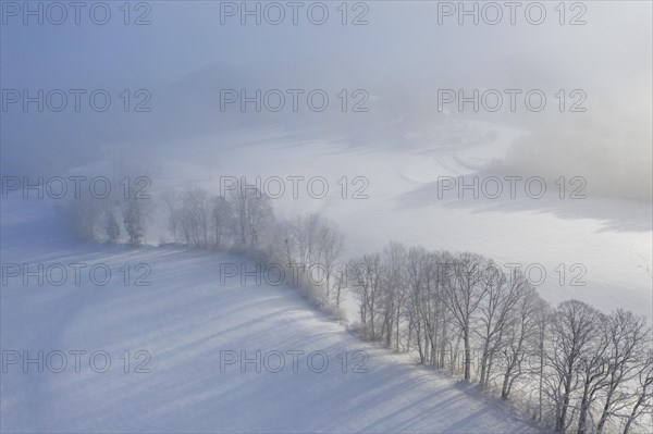 Winter morning with fog